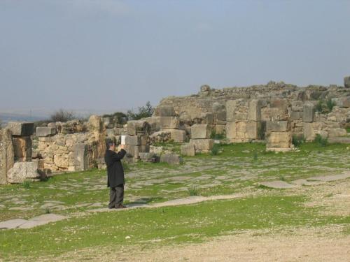 img 3373